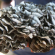 hen of the woods